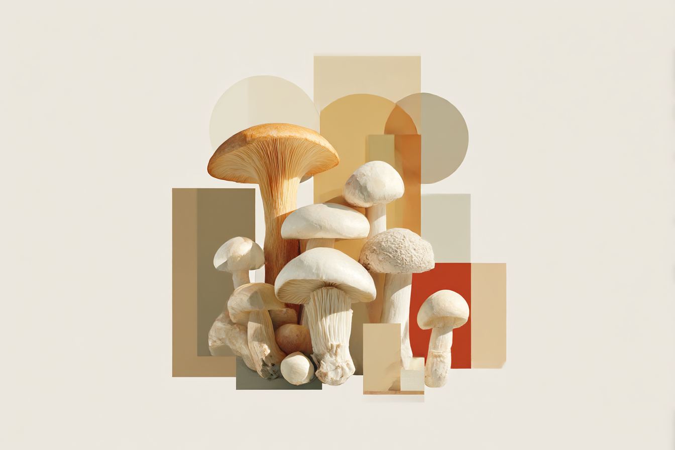 When_Mushroom_Insulation_Stopped_Being_a_Joke_-_Advanced_Mate_a62fd60d-fde0-4890-bd70-b6981ec3568c_3
